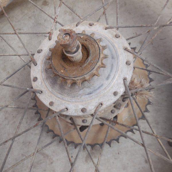 jante / roue AR  motogac  sherpa