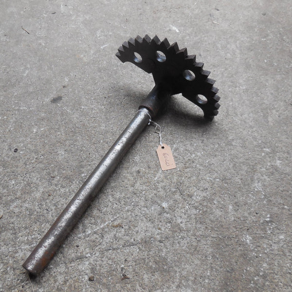 pignon de boite  moto guzzi zigolo