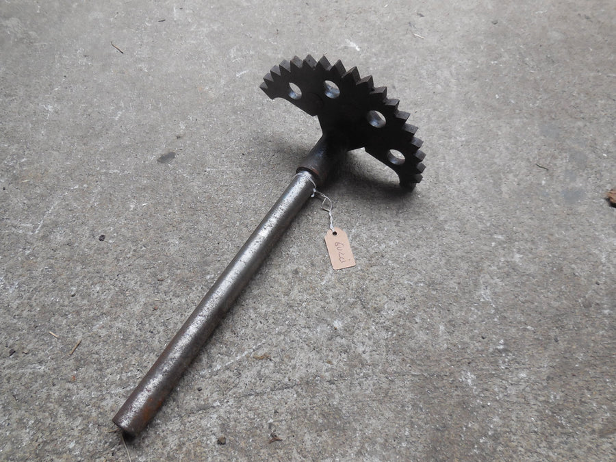 pignon de boite  moto guzzi zigolo