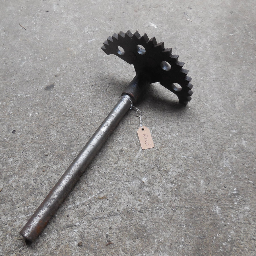 pignon de boite  moto guzzi zigolo