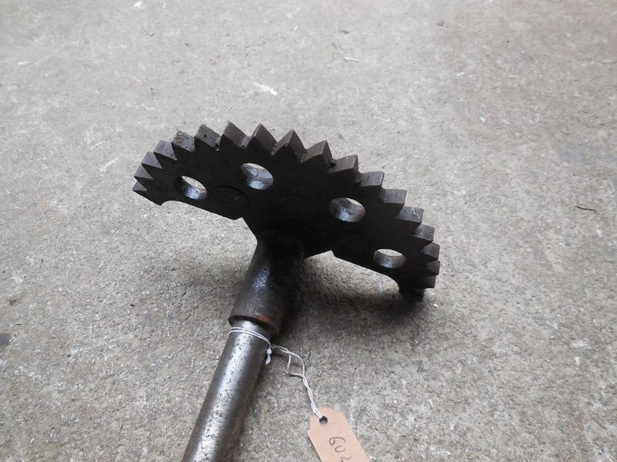 pignon de boite  moto guzzi zigolo