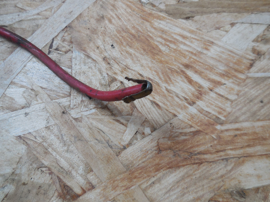 fil de bougie antiparasite  mobylette