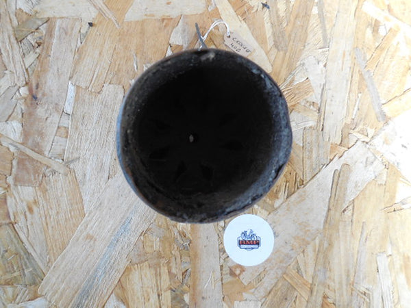 cloche  échappement  mobylette