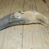 garde boue AR  peugeot  sx 8