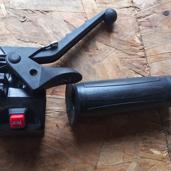 paire de poignée accélérateur freins